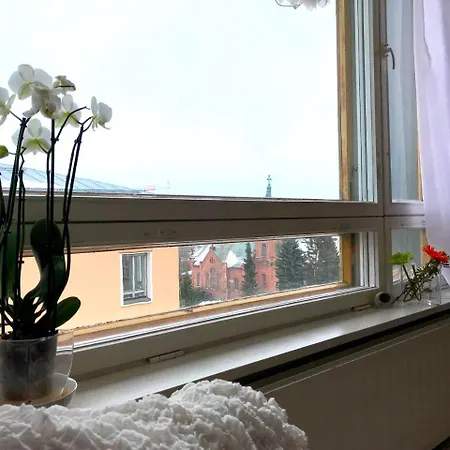 Local Nordic - White Falcon 公寓 Jyväskylä